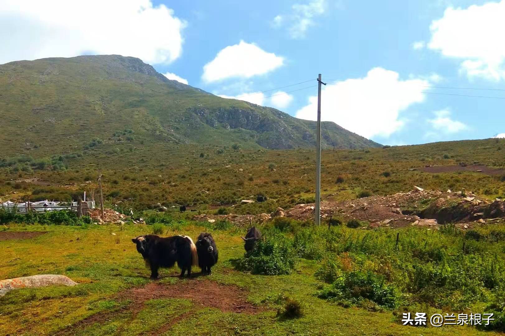 夏河县达尔宗湖景区电话,夏河县达尔宗湖游玩攻略