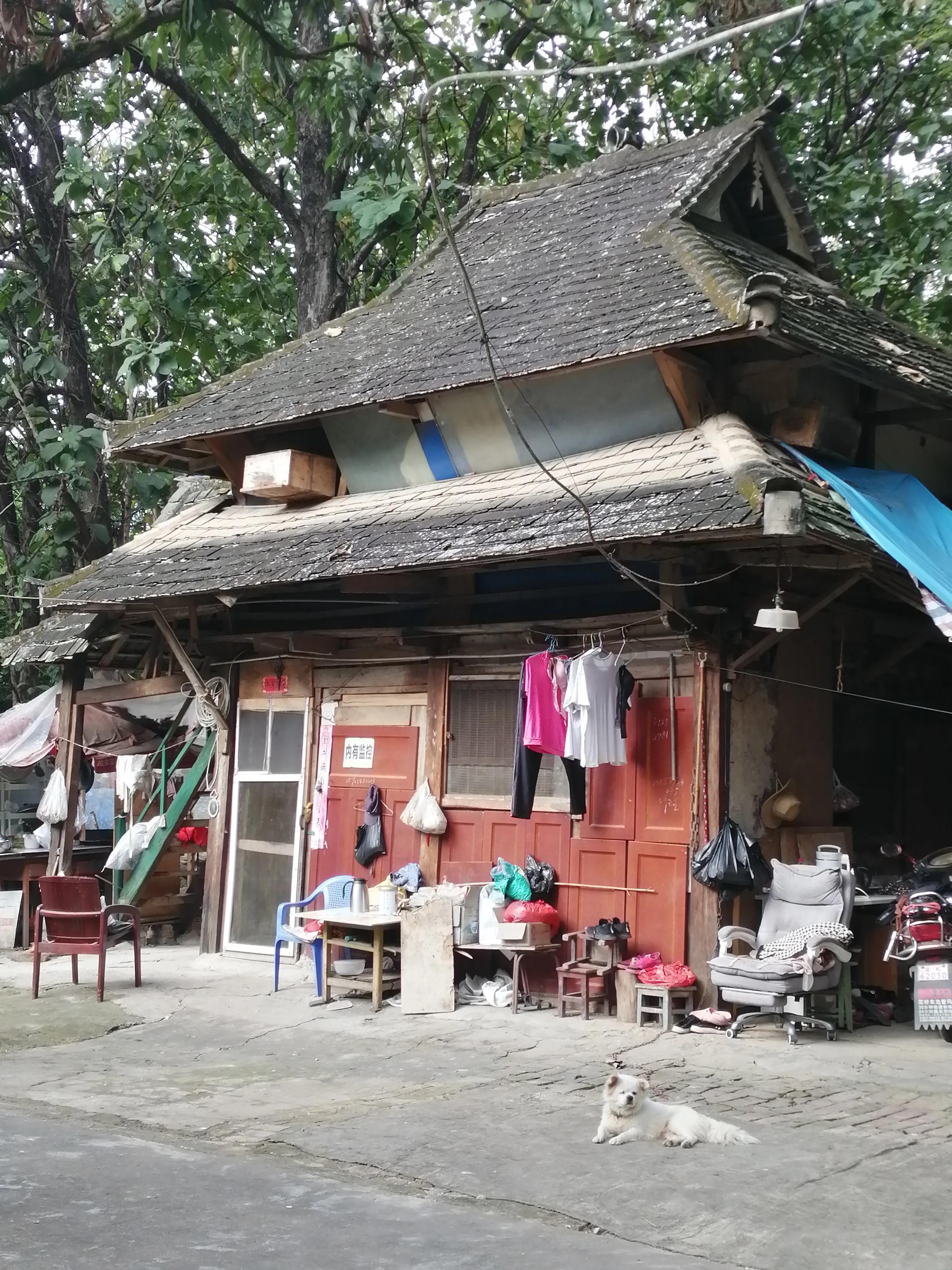 景洪市西双版纳风情园视频,西双版纳景洪市民族风情园