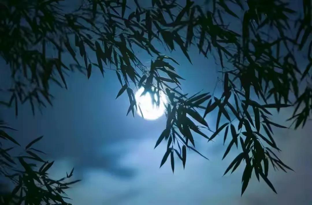 深林人不知明月来相照下一句,深林人不知明月来相照译文