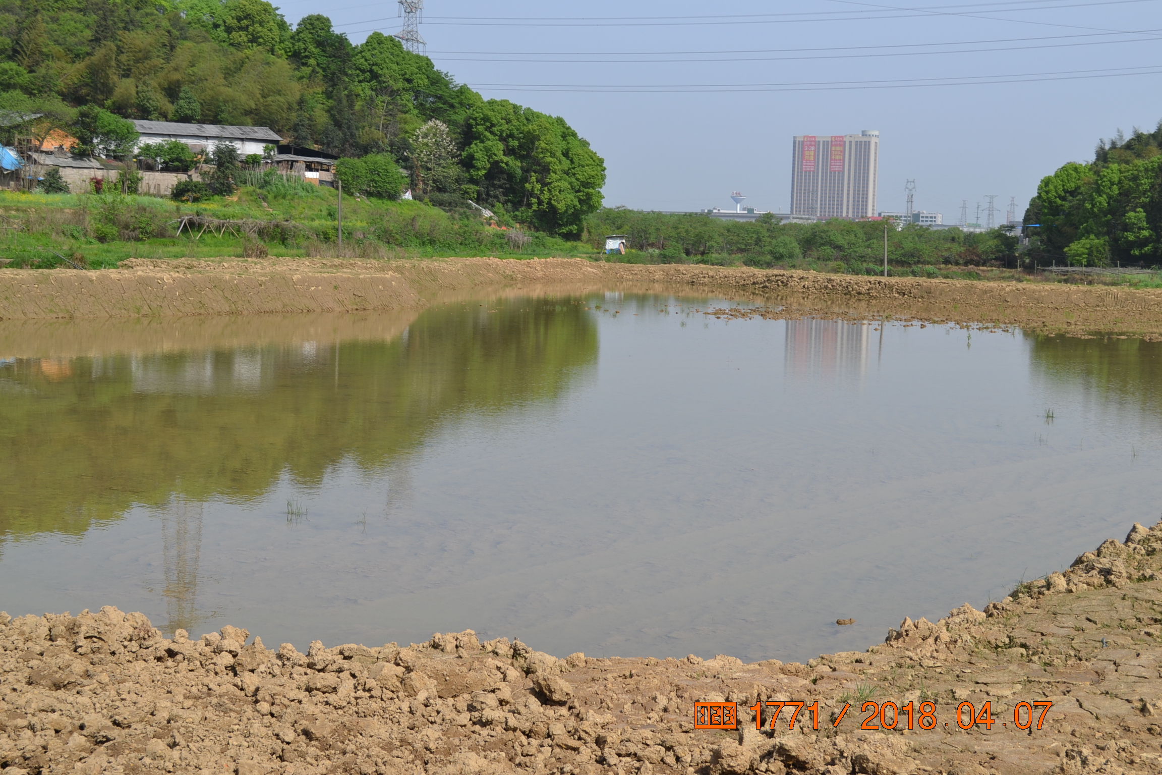 湖南最好的锦鲤养殖基地,湘潭锦鲤养殖