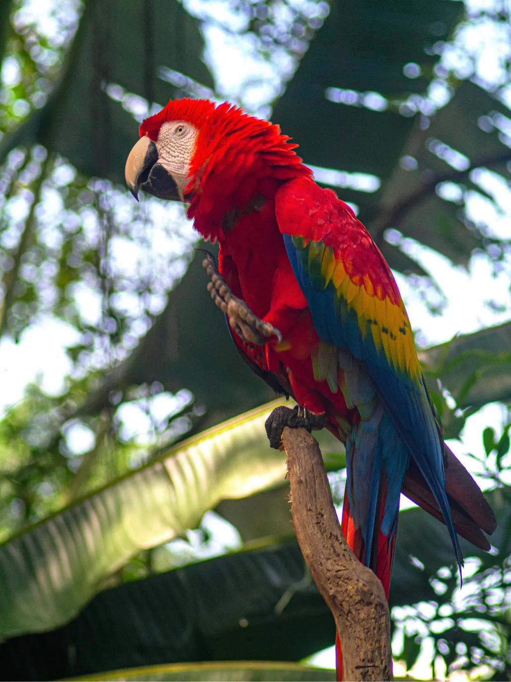 松下gx1相机价格,松下gx系列相机