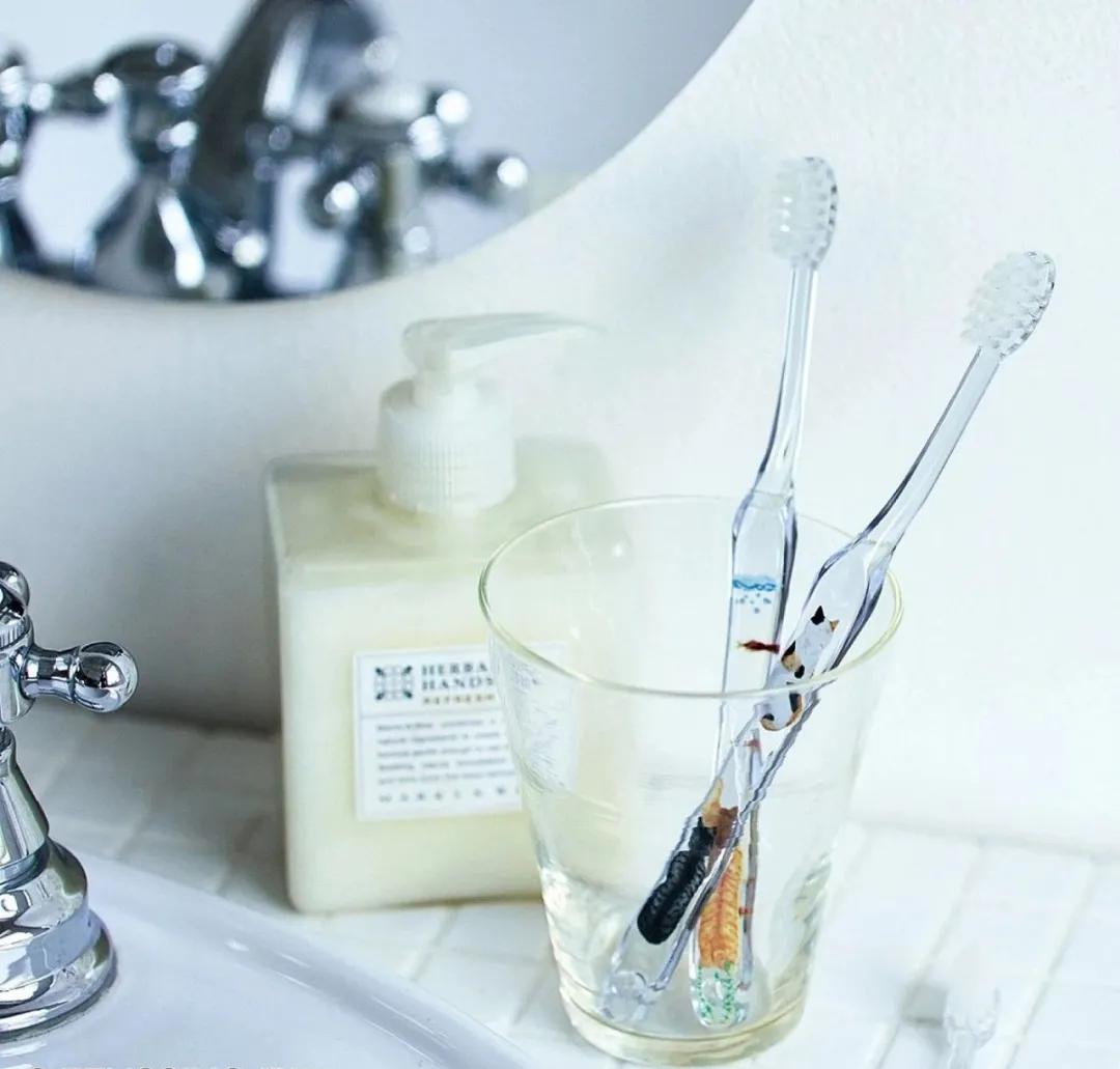 日本人又来骗猫奴们的钱啦！但我心甘情愿掏钱了！