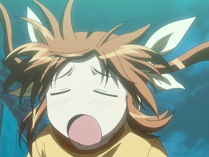 魔法少女奈叶深度解析,魔法少女奈叶技能介绍