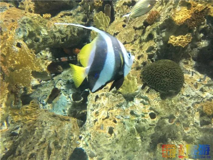 周末有风？别怕，来北京这里看花花草草和无数小可爱！猜到是哪里了吗？