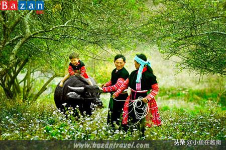 《走进越南》060期:越南山萝省,特产水果销往全球多个高端市场