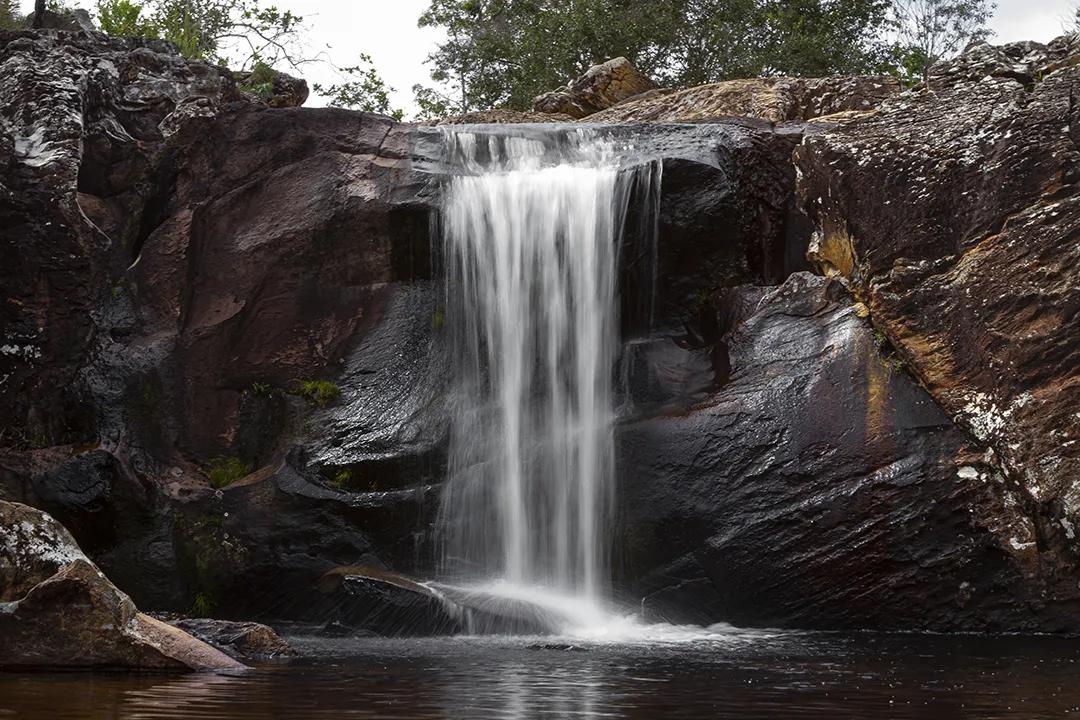 代购说cdf会员购是假的，真的是假的吗？