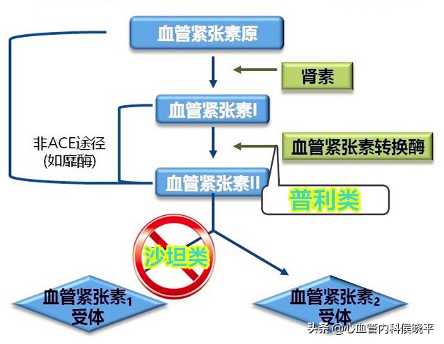 高血压,心脏肥厚了怎样选药?