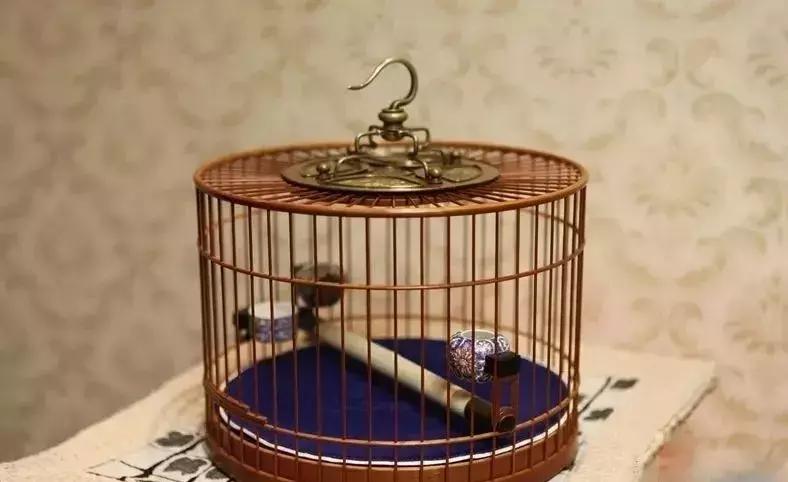 竹制鸟笼保养上油还是上漆,竹制鸟笼怎么清洗保养