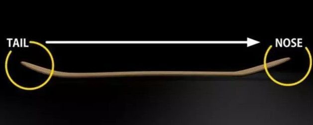 滑板新手买哪种滑板好一些,是小鱼型滑板好还是双翘型滑板好