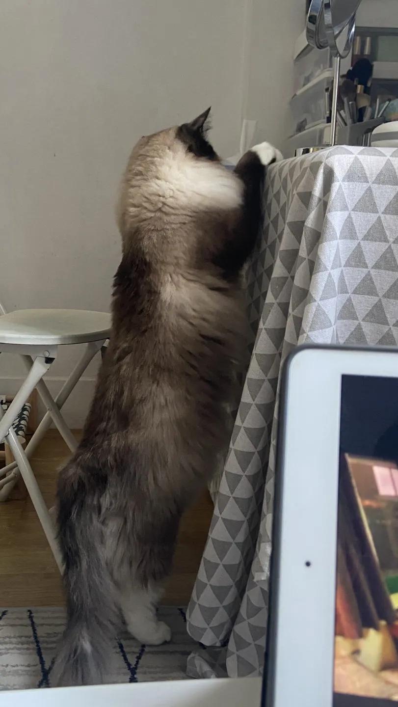 福州租房图鉴大全,福州福湾租房800元以下