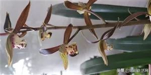 陆川找工作招聘信息,陆川找工作信息最新招聘