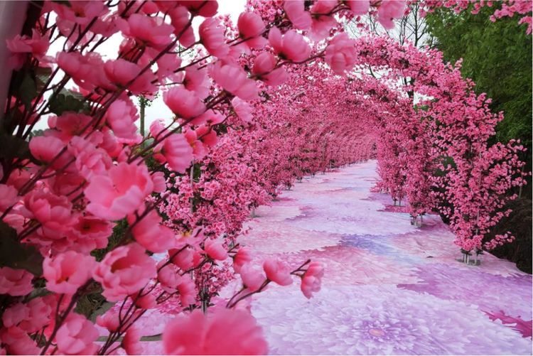 新春打卡重庆香水百合网红艺术节,坐小火车、玩玻璃滑道...