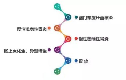 从胃炎到胃癌只需4步动画,胃病到胃癌的七个步骤