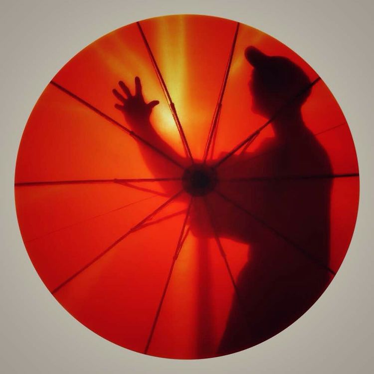 徽州百工喜迎8月向日葵摄影采风，歙县人民欢迎您