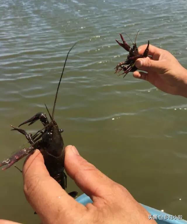 农业种植养殖怎么样,农业种植工作怎么样