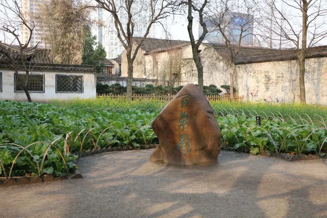 绍兴鲁迅故里哪些最值得去,鲁迅故居水乡