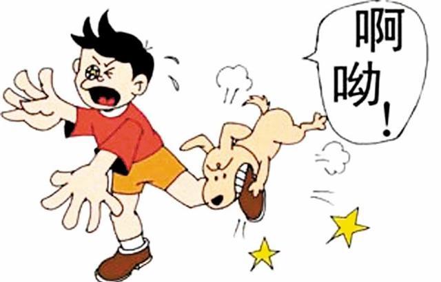 被恶狗攻击如何一招制敌,被恶犬攻击怎么办