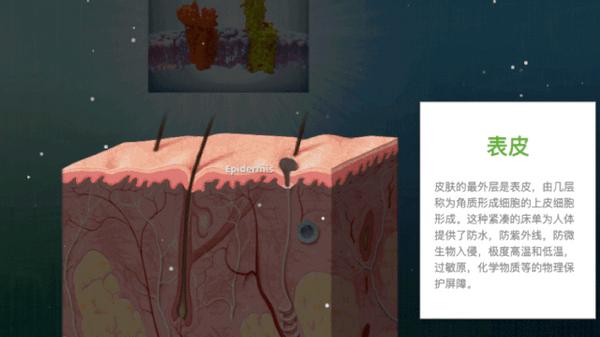 赶上国内圣秋波CBD的热潮，我们先美一步