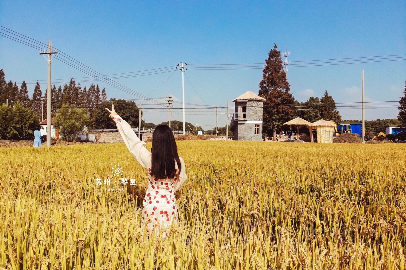 江南小众古镇视频,江南水乡小众又出名