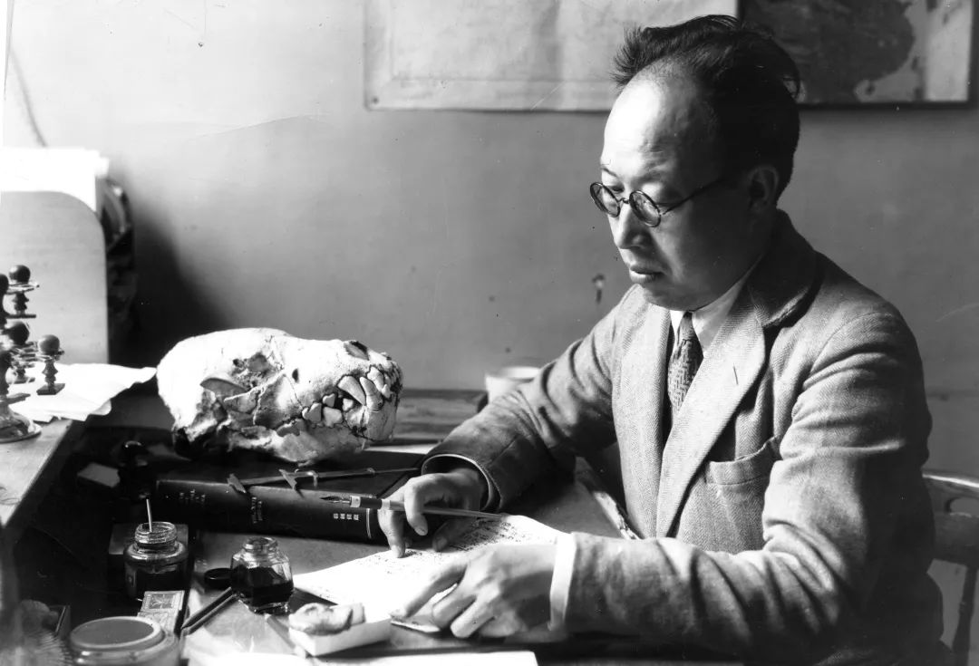 最长的脖子,世界最长的脖子