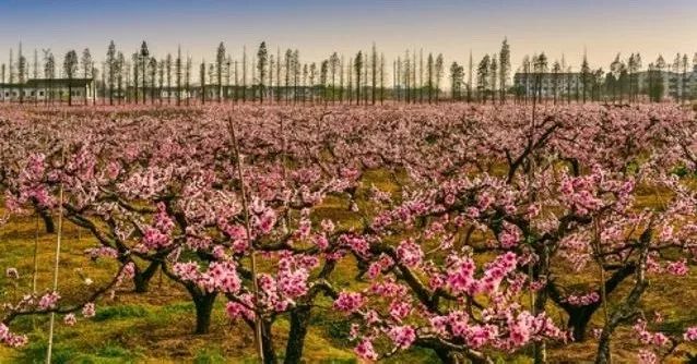 郭亮乡村旅游完整版,郭亮村探访视频