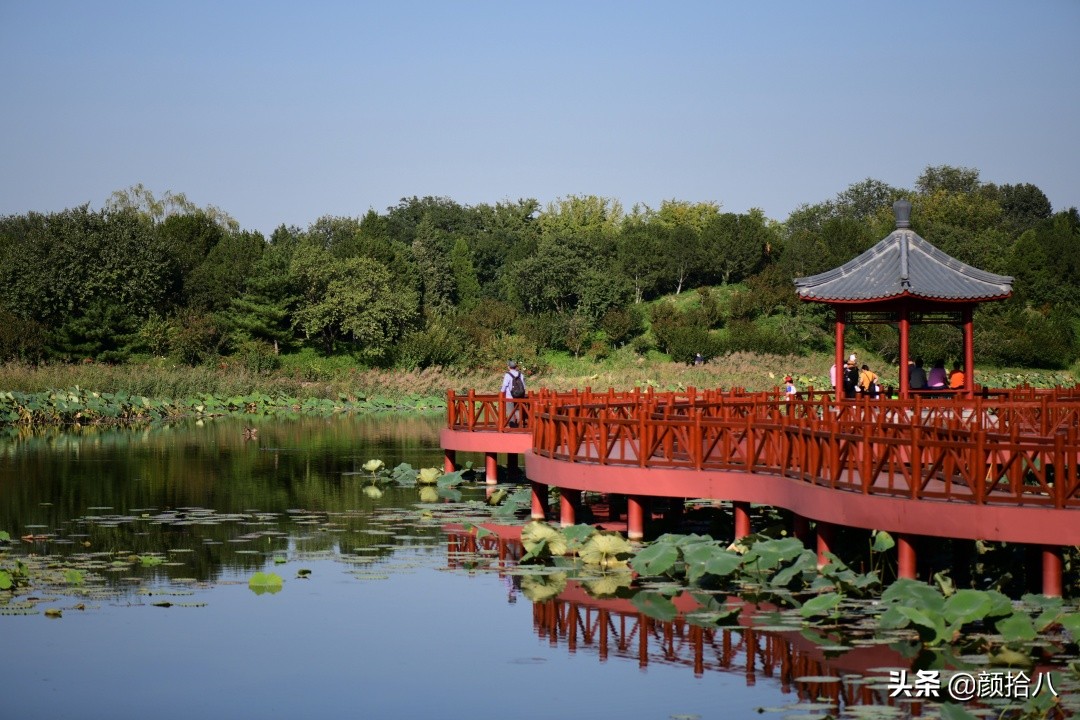 北京圆明园一日游推荐,圆明园秋色如画