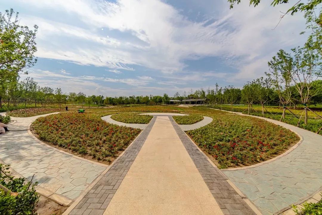 去看万紫千红的花海,五一近郊赏花去看缤纷七彩花田