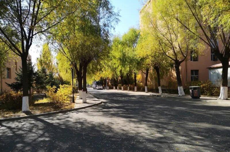 哈尔滨广厦学院最新消息,哈尔滨广厦学院排名