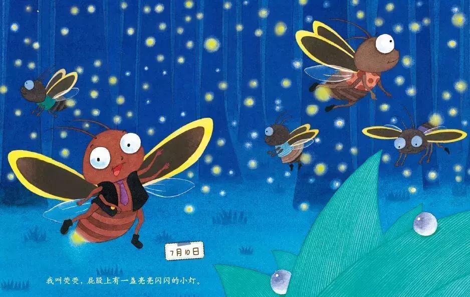 你原来是这样的萤火虫,估计老师们也很少知道!