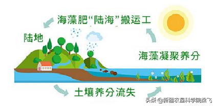 滴灌带阻塞怎么处理,滴灌带堵塞的表现