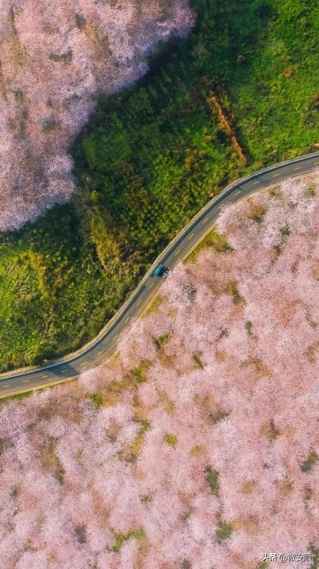 你好！我叫安顺，这是我2021最新简历