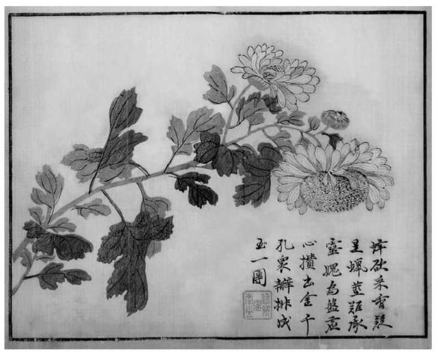 菊花写意画法100幅,简单的写意菊花画法