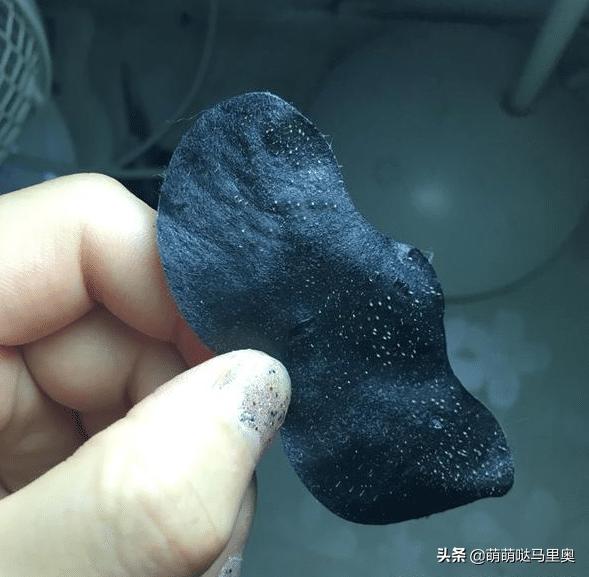 把鼻子里的黑头连根拔起,黑头怎么挤不痛又快