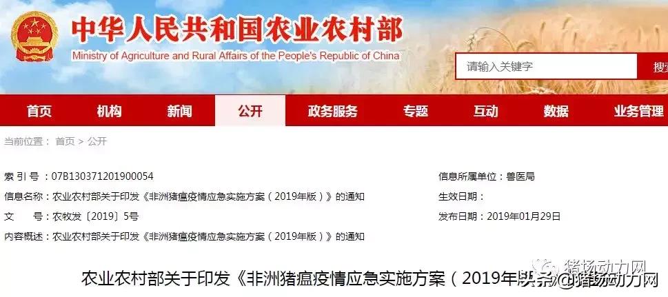 疫点3公里内生猪可不扑杀,农业农村部发布非洲猪瘟应急实施方案