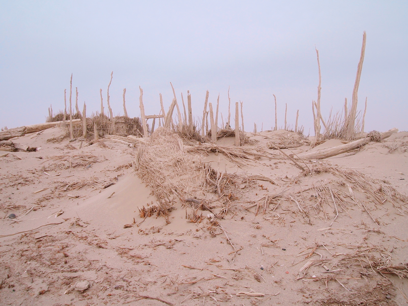 且末古城消失的原因,且末古城