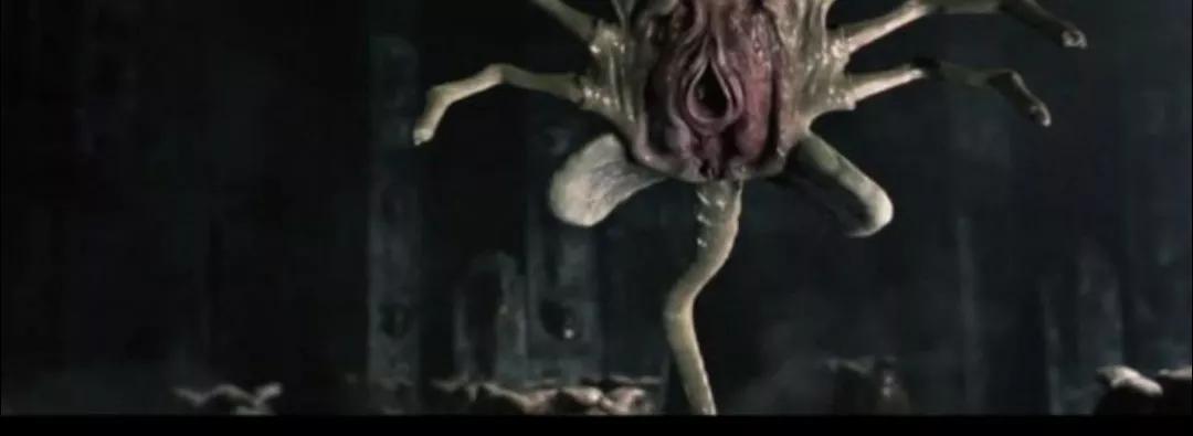 不小心被外星寄生生物附身该怎么办?