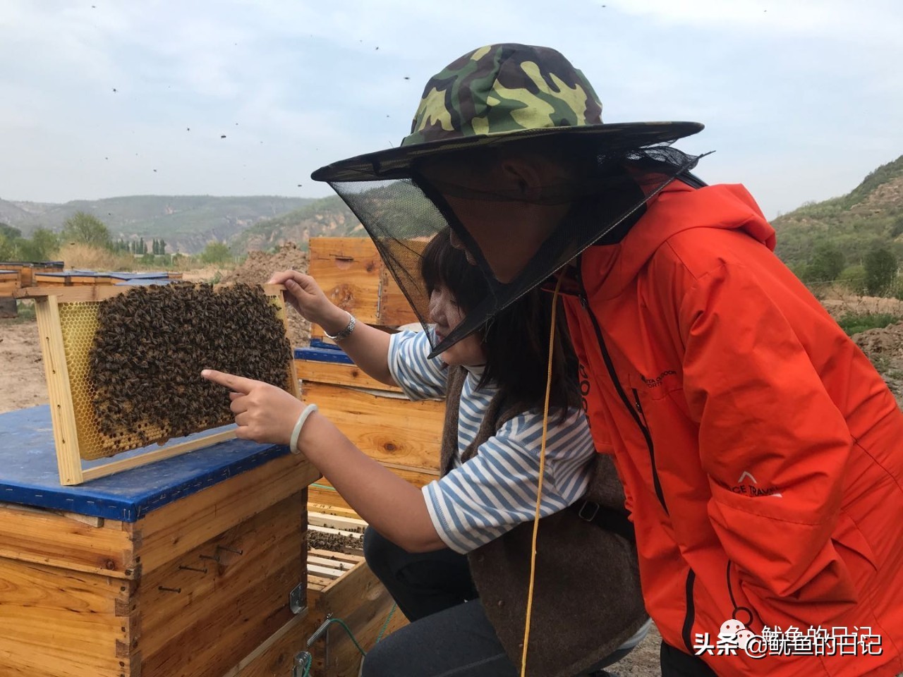 蜜蜂日记三年级300字,二年级观察日记大全100字