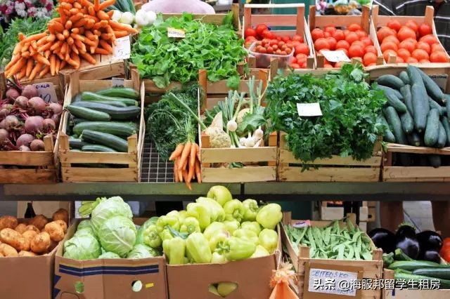 在澳洲年薪百万人民币算高吗,在澳洲月薪1万澳元怎么样