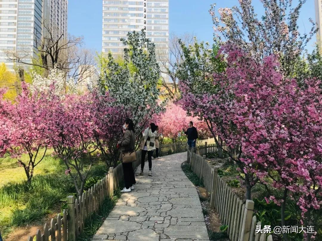 大连野餐必备,大连野餐推荐地点