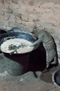 “兄弟睡觉压得胳膊都变色了，要不要叫醒他？”醒来一定很酸爽