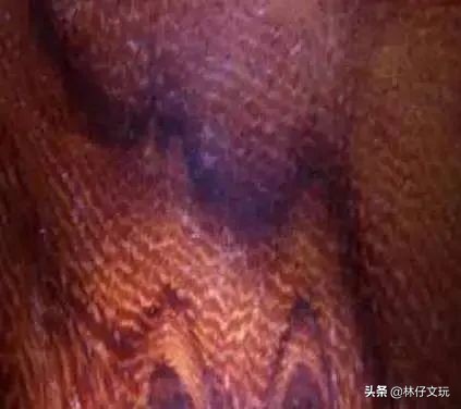 大叶黄花梨的鉴别方法,白酸枝和微凹黄檀哪个好