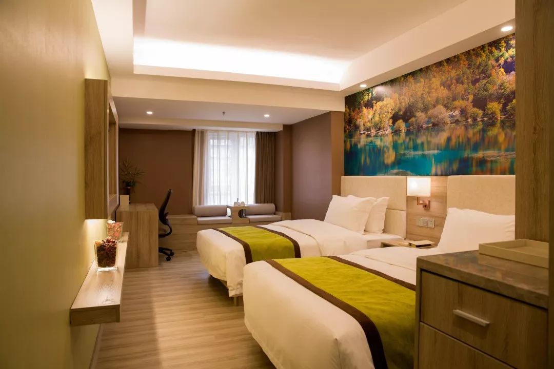 2023年熊猫夏令营,2019熊猫夏令营