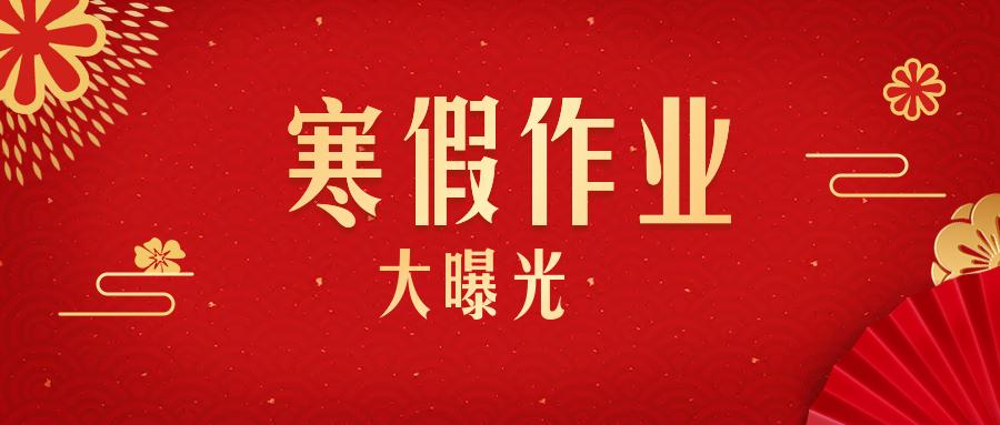 深圳学校寒假作业大曝光！您家孩子的寒假作业有趣吗？