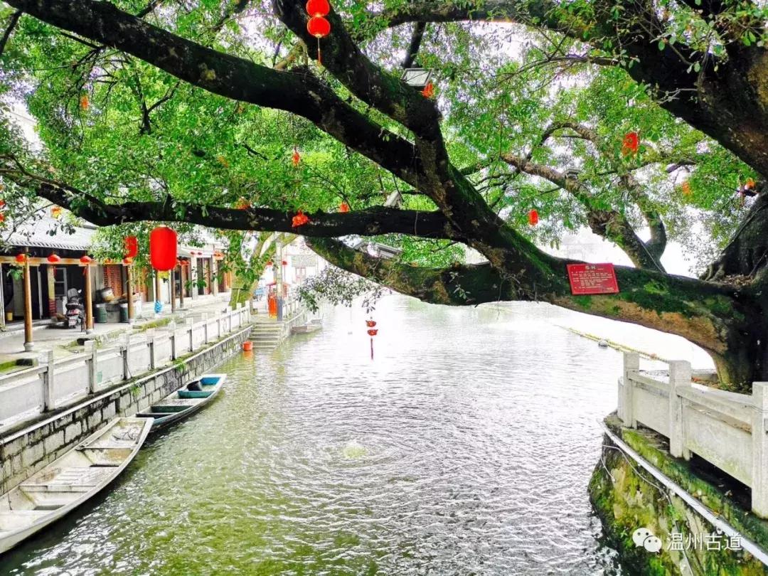 平阳鸣山古村落图片,千年古村平阳县鸣山村古城夜景