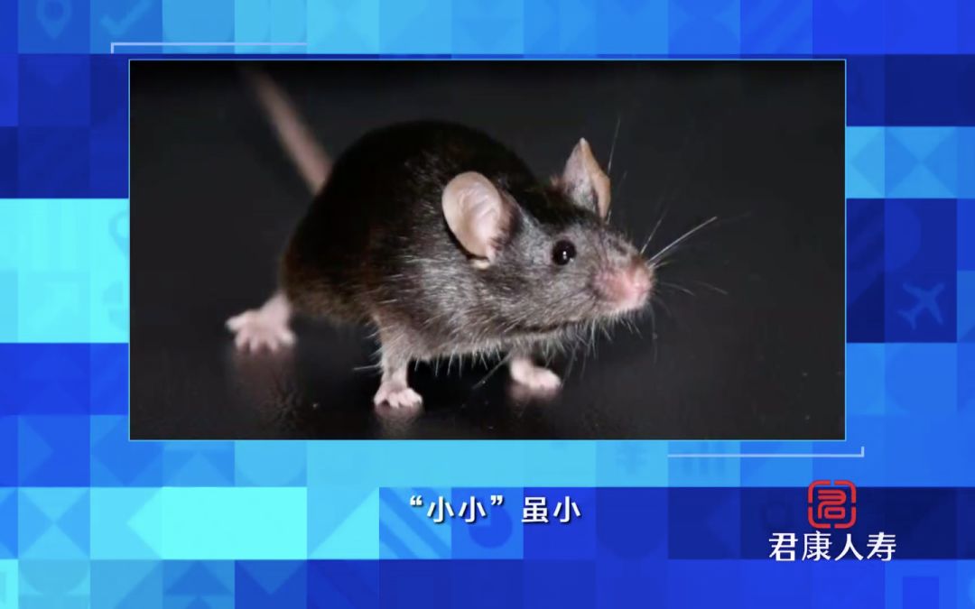 干细胞有哪些新突破,干细胞技术到底能为我们做什么