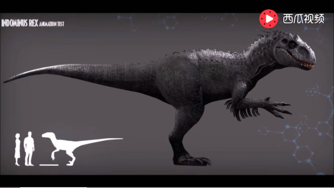 《侏罗纪公园3》棘龙打败霸王龙:主角光环实力碾压?