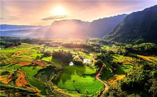 重庆铁山坪森林康养基地,重庆避暑康养基地