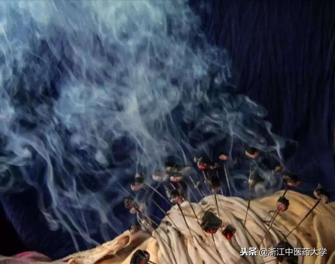 用镜头诉说中医药之美