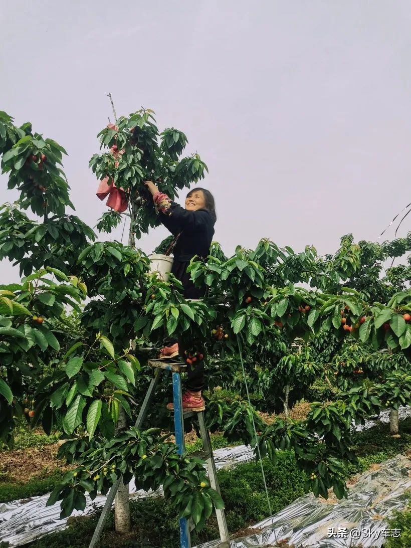 7天3000公里,宝马x57000公里发现烧机油