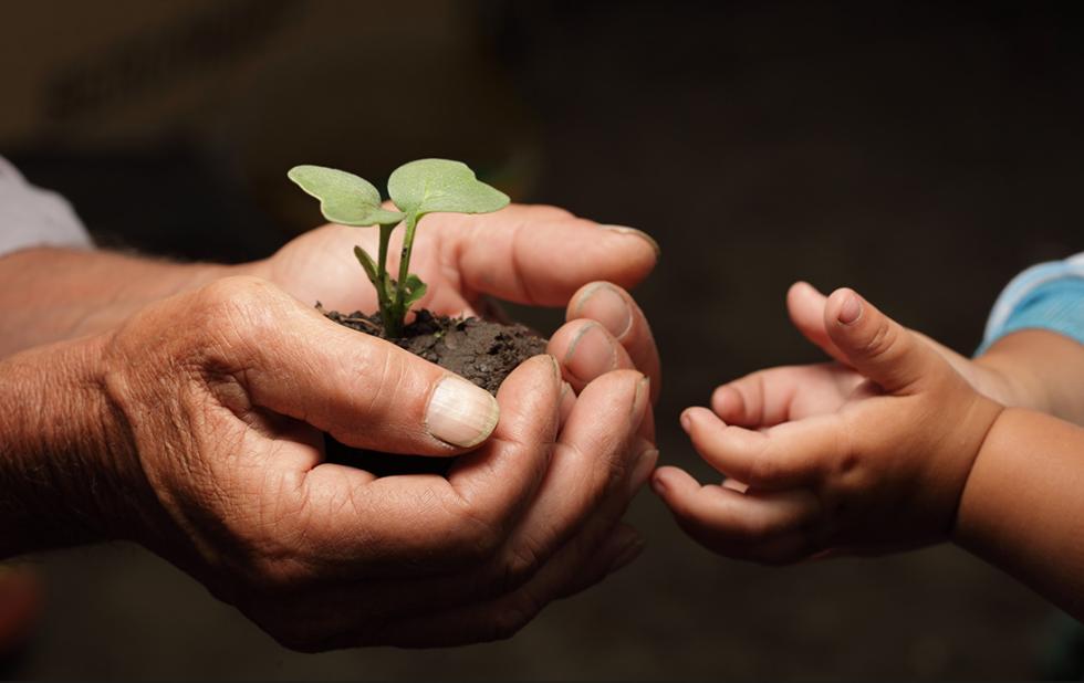 隔代教育观念冲突,隔代教育怎样纠正长辈的矛盾